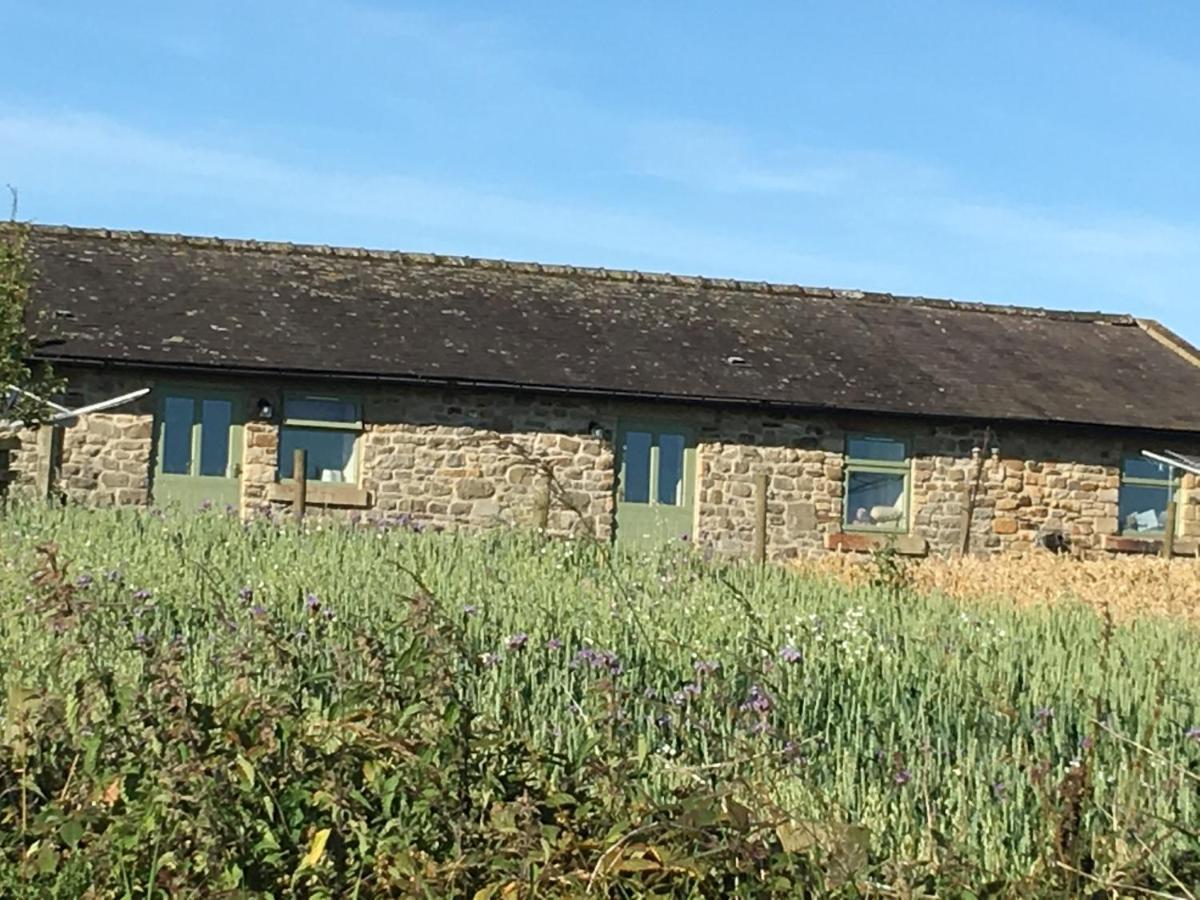 Riding Farm Cottages Gateshead Exterior photo